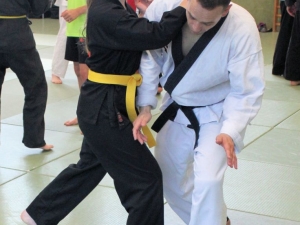 Hapkido-Lehrgang in Auerbach