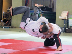 Hapkido-Lehrgang in Auerbach