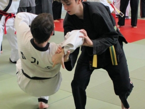 Hapkido-Lehrgang in Auerbach