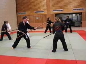 Langstock-Training mit Franco