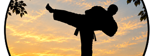 Hapkido-Lindenfels